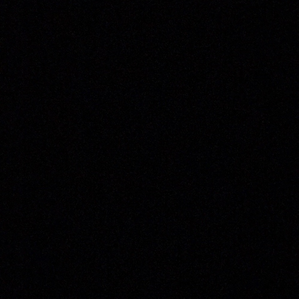 Meet your Posher, Gracie